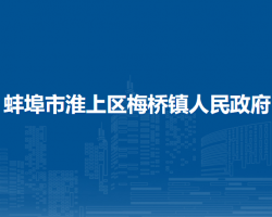 蚌埠市淮上區(qū)梅橋鎮(zhèn)人民政府