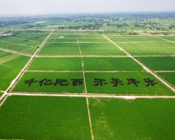 肥西縣豐樂鎮(zhèn)人民政府