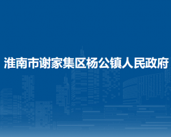 淮南市謝家集區(qū)楊公鎮(zhèn)人民政府