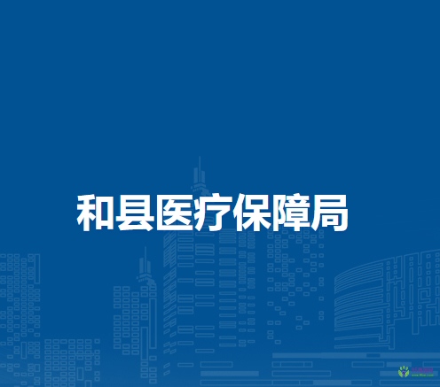 和縣醫(yī)療保障局