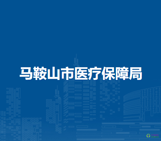 馬鞍山市醫(yī)療保障局