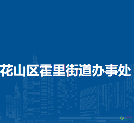 馬鞍山市花山區(qū)霍里街道辦事處