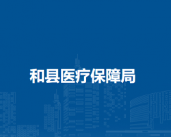 和縣醫(yī)療保障局