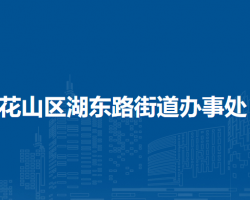 馬鞍山市花山區(qū)湖東路街道辦事處