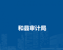 和縣審計(jì)局