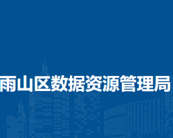 馬鞍山市雨山區(qū)數(shù)據(jù)資源管