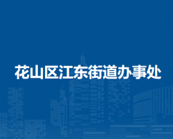 馬鞍山市花山區(qū)江東街道辦事處