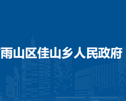馬鞍山市雨山區(qū)佳山鄉(xiāng)人民政府