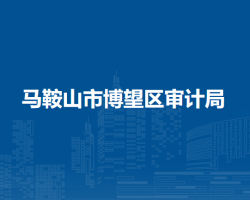 馬鞍山市博望區(qū)審計(jì)局
