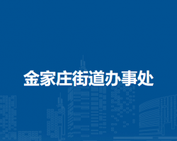 馬鞍山市花山區(qū)金家莊街道辦事處