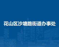 馬鞍山市花山區(qū)沙塘路街道辦事處