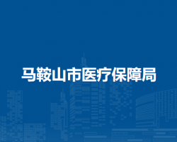 馬鞍山市醫(yī)療保障局