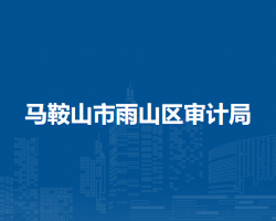 馬鞍山市雨山區(qū)審計(jì)局