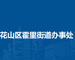 馬鞍山市花山區(qū)霍里街道辦事處