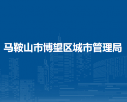 馬鞍山市博望區(qū)城市管理局